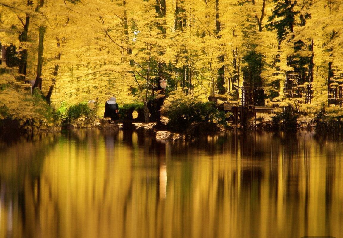 皇马与巴塞罗那转会市场猜想：若梅西从未加盟巴萨，皇家马德里会如何行动？